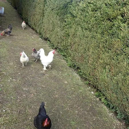 بيت للعطل La Crova