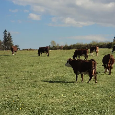 La Crova Ferienhaus *