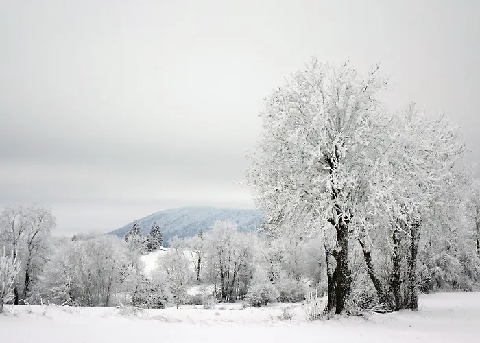 La Crova Casa de Férias