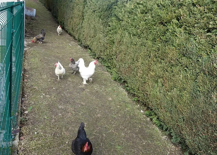 Casa de Férias La Crova