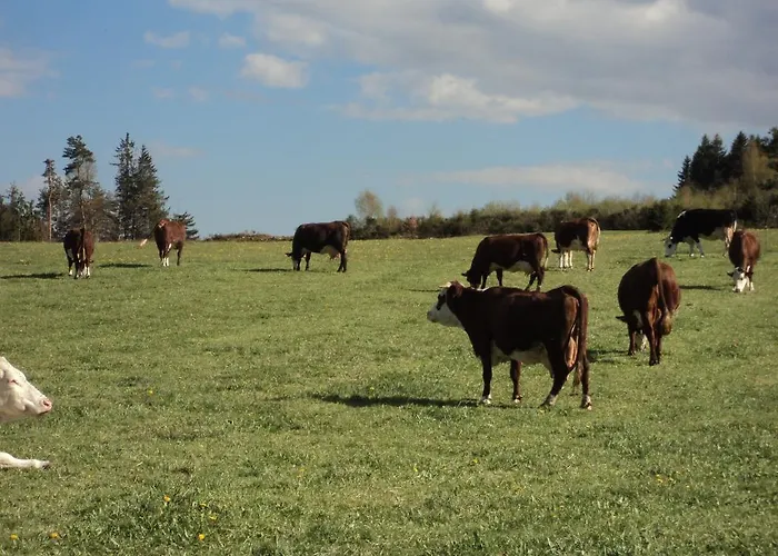 La Crova Casa de Férias *